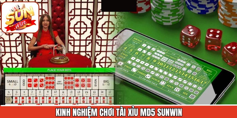 Kinh nghiệm hữu ích khi chơi tài xỉu MD5 giành thắng lớn